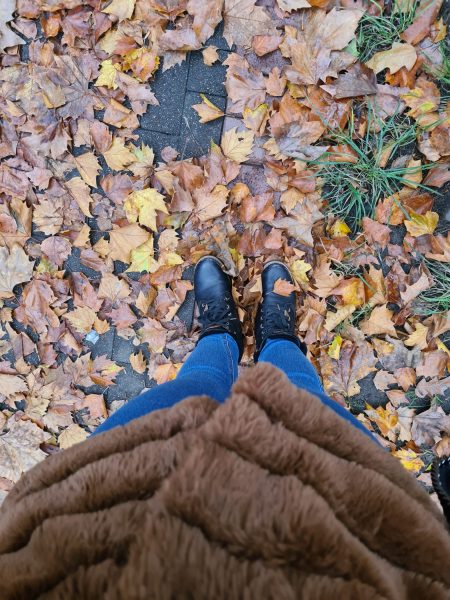 Schuhe im Herbstlaub